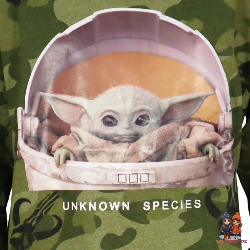 Star Wars Mandalorian Baby Yoda Jungen Hoodie Kapuzenpullover - WS-Trend.de