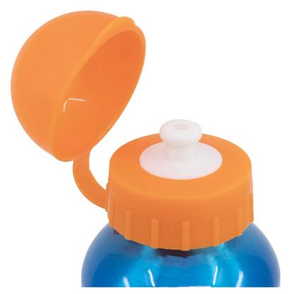 Pokemon Pikachu and Friends ALU Wasserflasche Trinkflasche Flasche 530 ml - WS-Trend.de