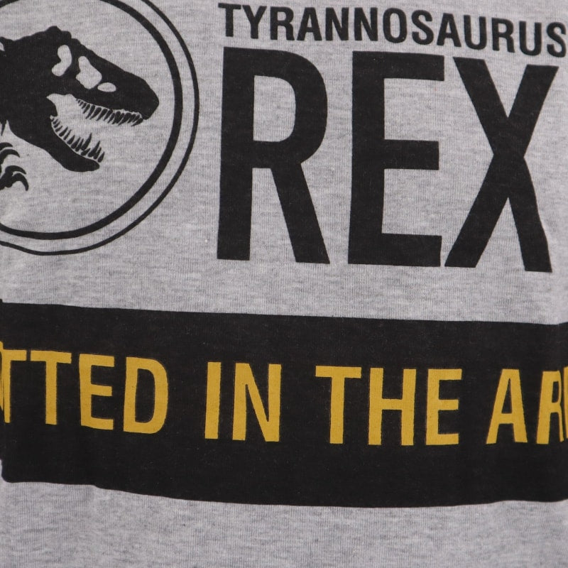 Jurassic World Kinder Jugend langarm T-Shirt - WS-Trend.de T-Rex Jungen Shirt Gr. 134-164 Dinosaurier