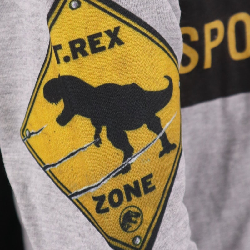 Jurassic World Kinder Jugend langarm T-Shirt - WS-Trend.de T-Rex Jungen Shirt Gr. 134-164 Dinosaurier