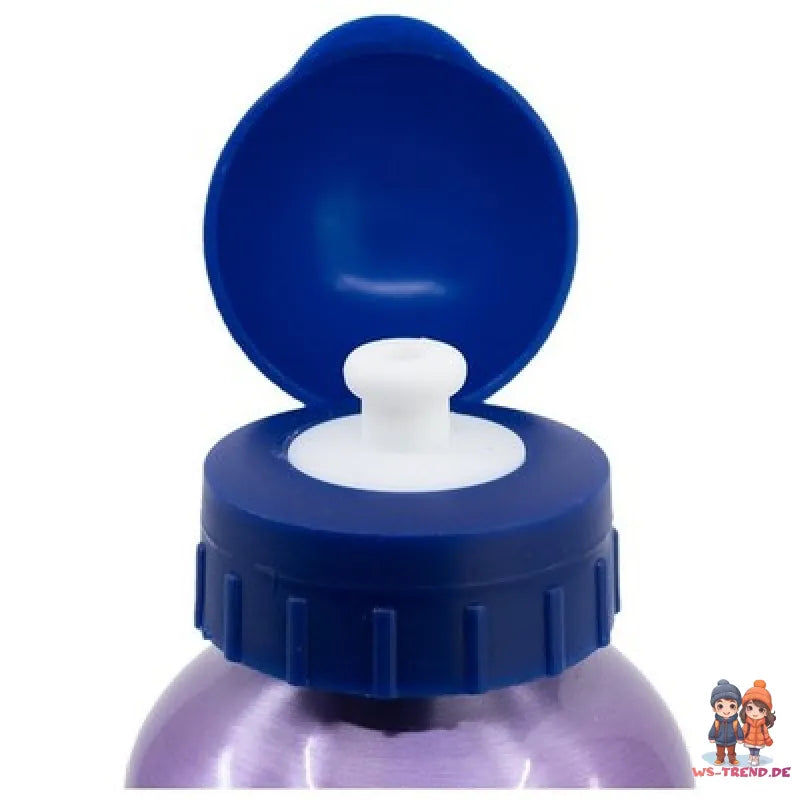 Disney Die Eiskönigin Elsa 4 tlg Kinder Set Brotdose Alu-Trinkflasche Besteck - WS-Trend.de