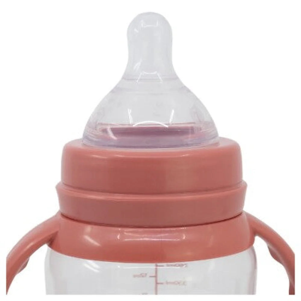 Disney Baby Minnie Maus Milchflasche Trinkflasche ab 10 Monate - WS-Trend.de