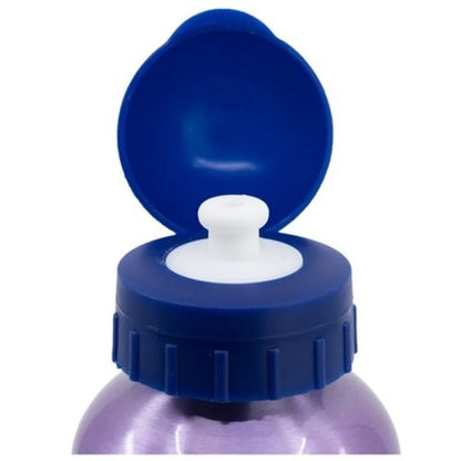 Disney Die Eiskönigin Elsa 4 tlg Kinder Set Brotdose Alu-Trinkflasche Besteck - WS-Trend.de