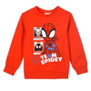 Marvel Spiderman Spidey Kinder Jungen Pullover Pulli