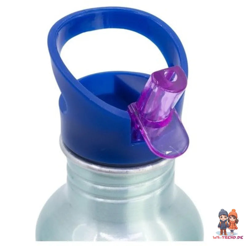 Disney Die Eiskönigin Elsa Anna Kinder Alu Trinkflasche Flasche 545 ml - WS-Trend.de