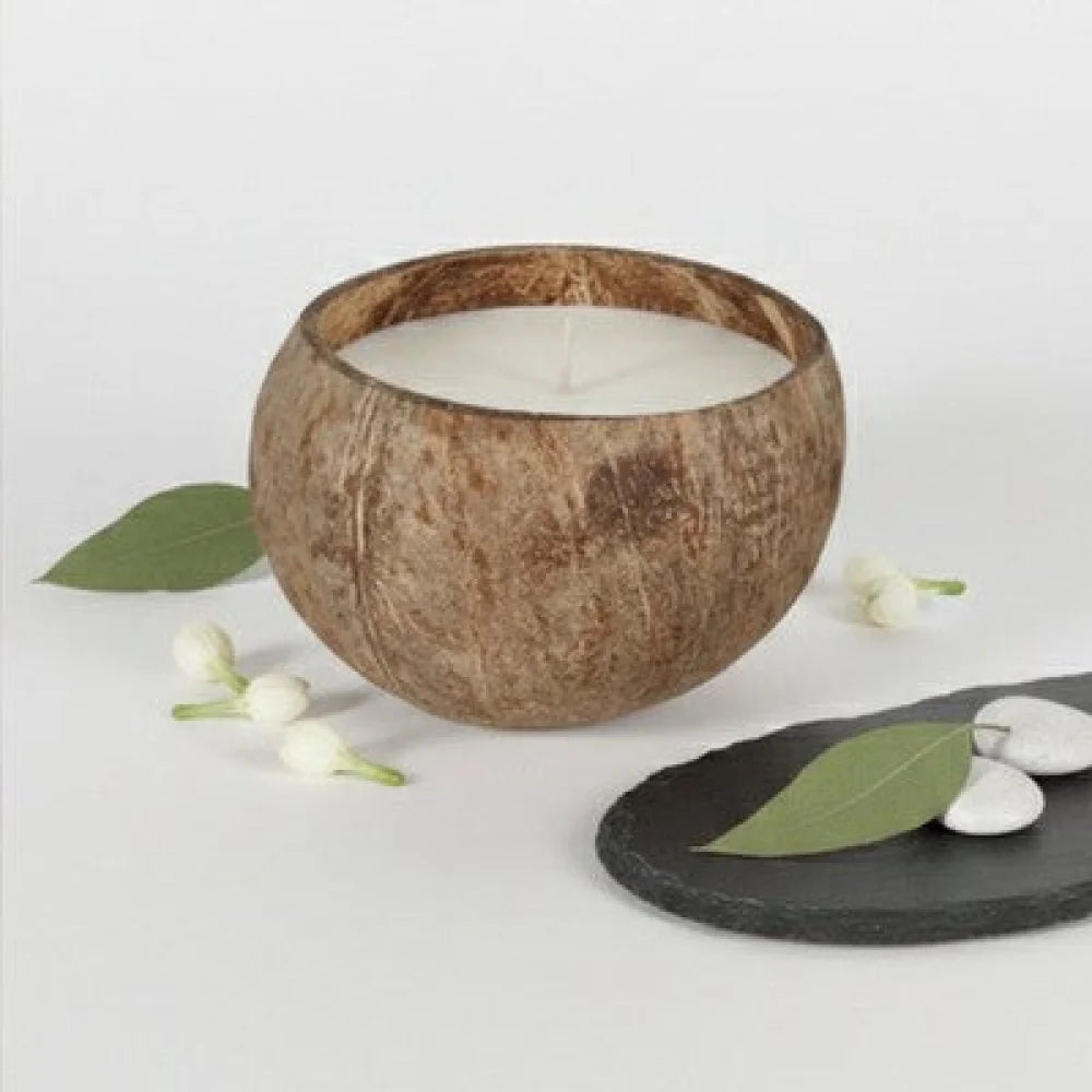 Handgemachte Sojawachs-Kerze in Kokosnussschale – duftfrei - WS-Trend.de
