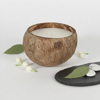 Handgemachte Sojawachs-Kerze in Kokosnussschale – duftfrei - WS-Trend.de