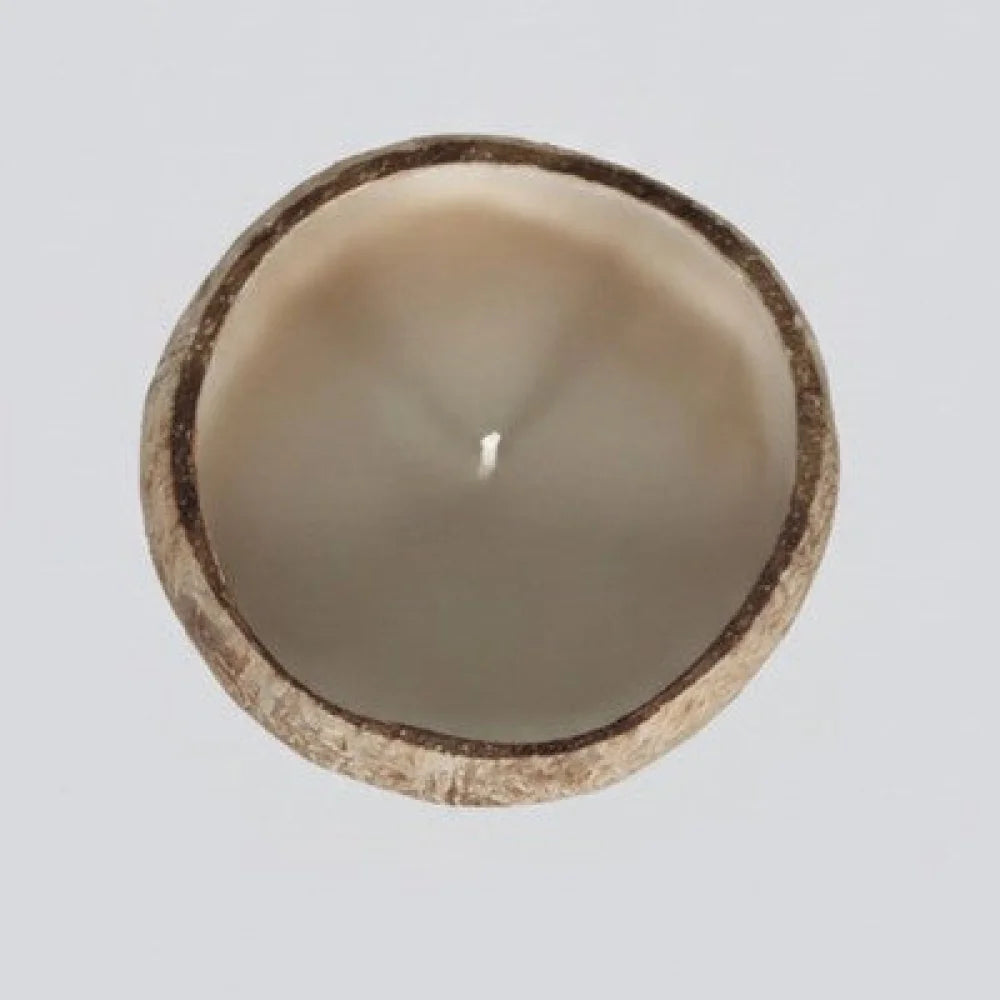 Handgemachte Sojawachs-Kerze in Kokosnussschale – duftfrei - WS-Trend.de