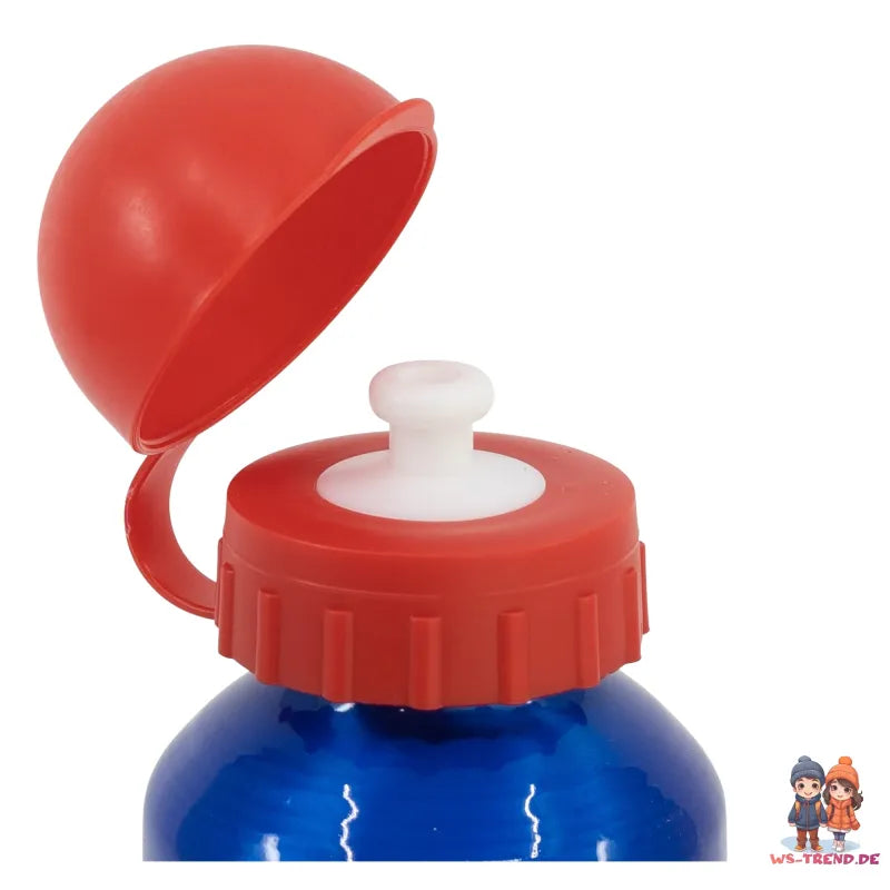 Super Mario Luigi Kinder 4 teiliges Set Brotdose - Gabel Löffel Alu-Trinkflasche - WS-Trend.de
