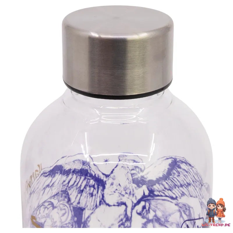 Harry Potter Hogwarts Wasserflasche Trinkflasche Flasche XL 850 ml - WS-Trend.de