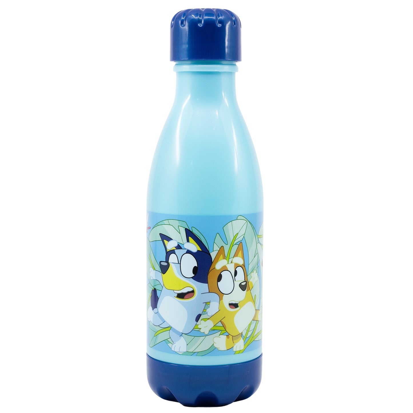 Disney Bluey Bingo Kinder Wasserflasche Trinkflasche Flasche 560 ml