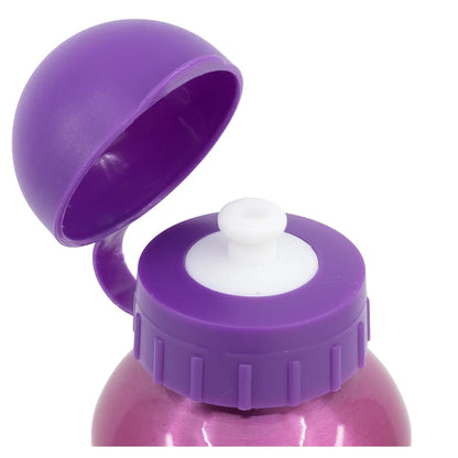 Disney Prinzessinnen Alu Sportflasche Trinkflasche Flasche 530 ml - WS-Trend.de Wasserflasche