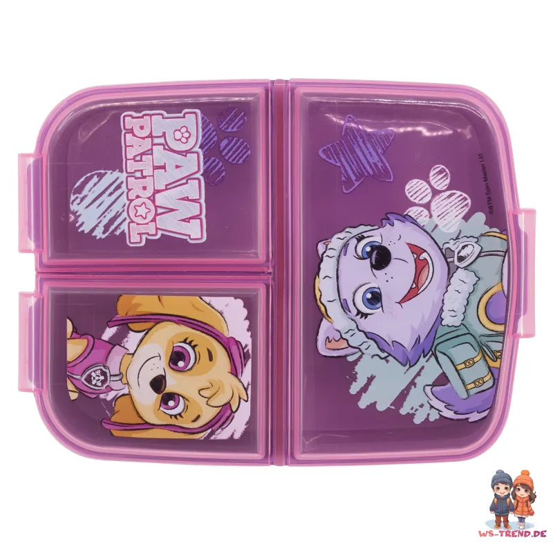 Paw Patrol Skye Everest 2 teiliges Kinder Set Brotdose Alu-Trinkflasche - WS-Trend.de