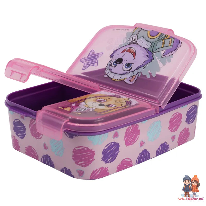 Paw Patrol Skye Everest 2 teiliges Kinder Set Brotdose Alu-Trinkflasche - WS-Trend.de