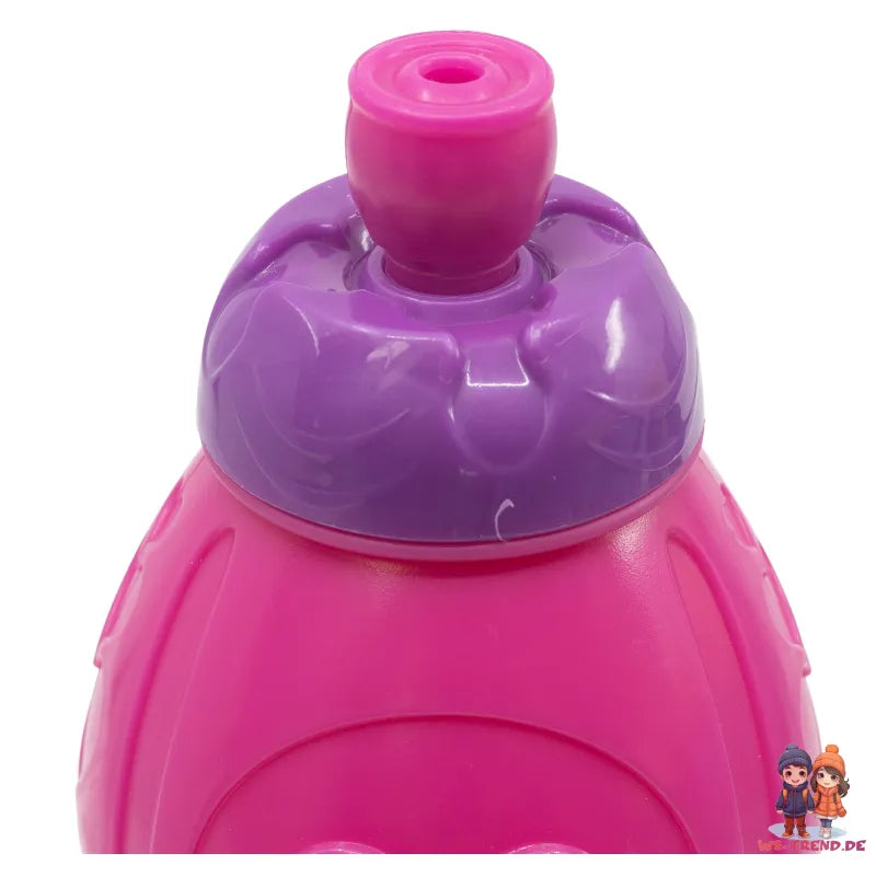 Paw Patrol Skye Everest 2 teiliges Kinder Set Brotdose Trinkflasche - WS-Trend.de