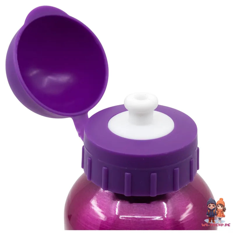 Paw Patrol Skye Everest Aluminium Wasserflasche Trinkflasche Flasche 400 ml - WS-Trend.de