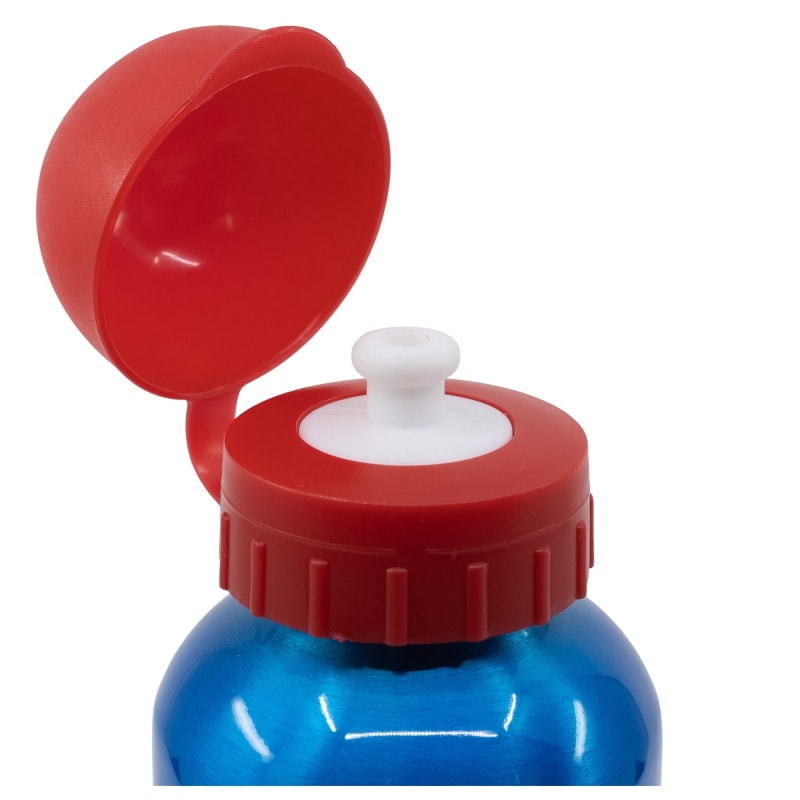 Super Mario Luigi Peach Toady Trinkflasche Wasserflasche 650 ml - WS-Trend.de