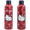 Hello Kitty Thermo Edelstahl Wasserflasche Trinkflasche Flasche 515 ml