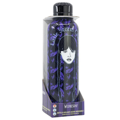 Wednesday Edelstahl Sportflasche Wasserflasche Trinkflasche Flasche - WS-Trend.de