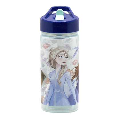 Disney Die Eiskönigin Elsa Anna Kinder Trinkflasche Flasche mit Halm 510 ml - WS-Trend.de