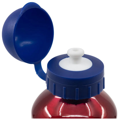 Marvel Avengers Kinder Alu Wasserflasche Trinkflasche Flasche 400 ml - WS-Trend.de