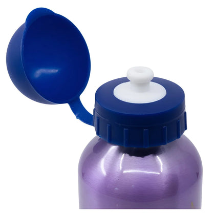 Disney Die Eiskönigin Alu Sportflasche Wasserflasche Trinkflasche Flasche 400 ml - WS-Trend.de