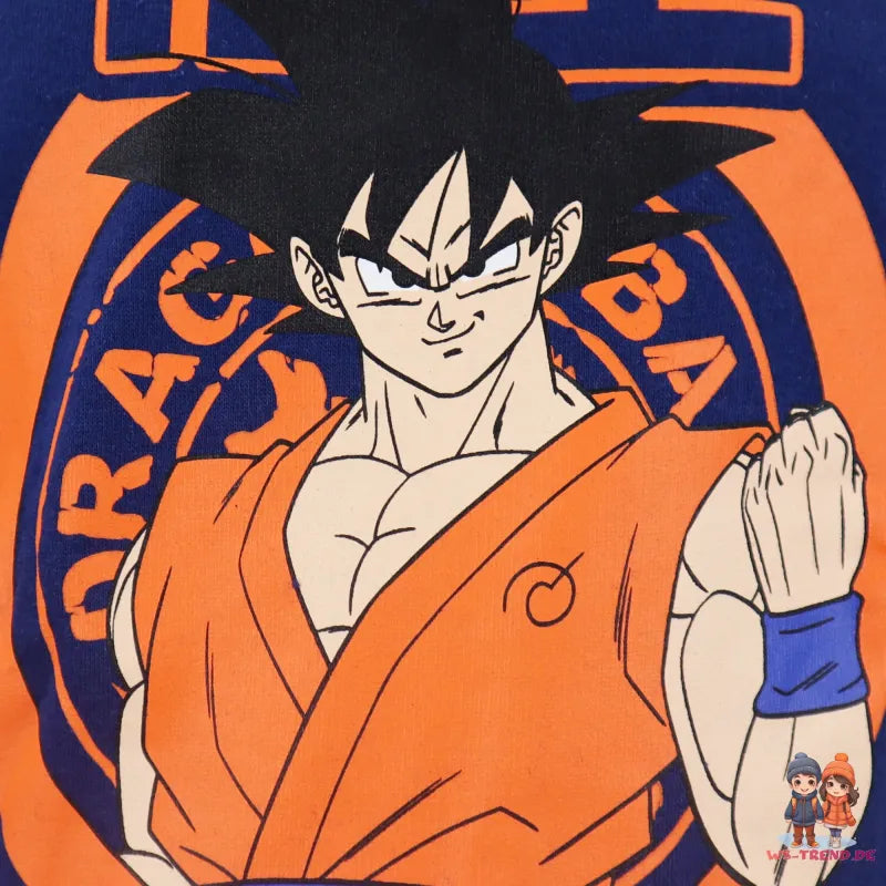 DragonBall Super Goku Jungen Pullover Pulli Sweater - WS-Trend.de