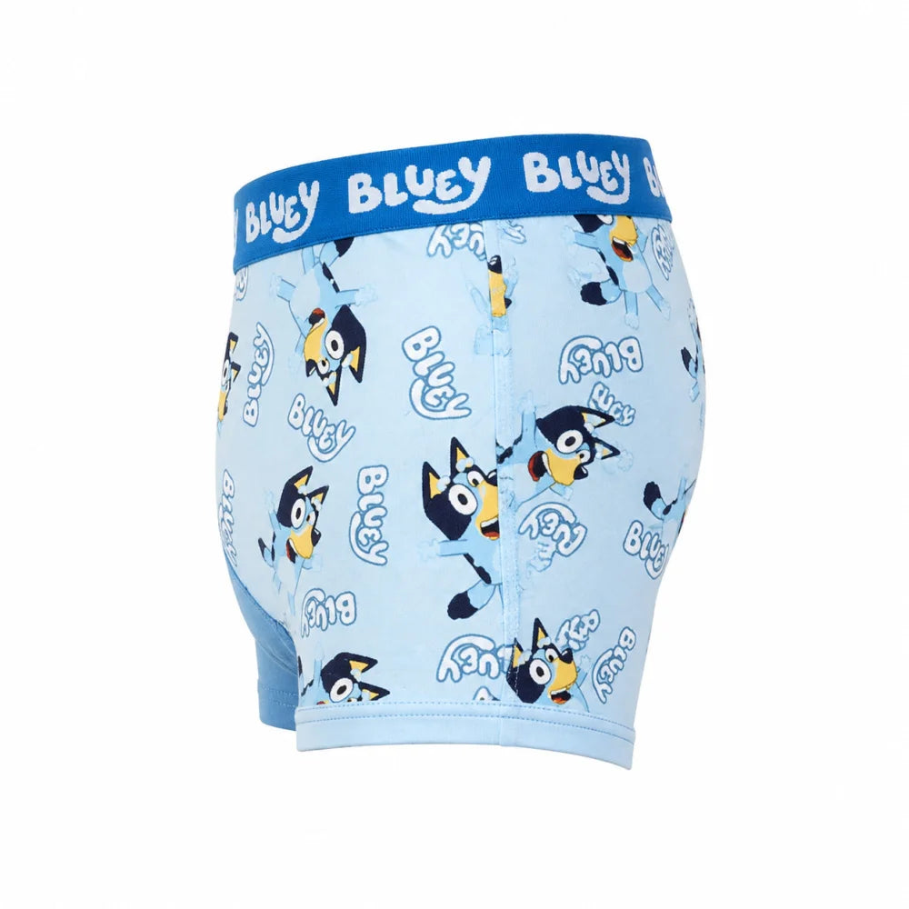 Bluey Jungen Boxershorts Unterhosen 2er-Pack Gr. 104–116 Baumwolle - WS-Trend.de