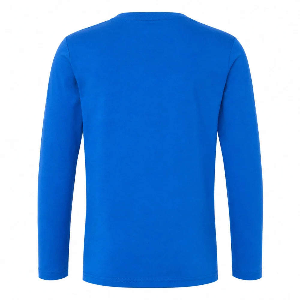 Bing Jungen Langarmshirt Blau oder Grau Größen 92–116 - WS-Trend.de