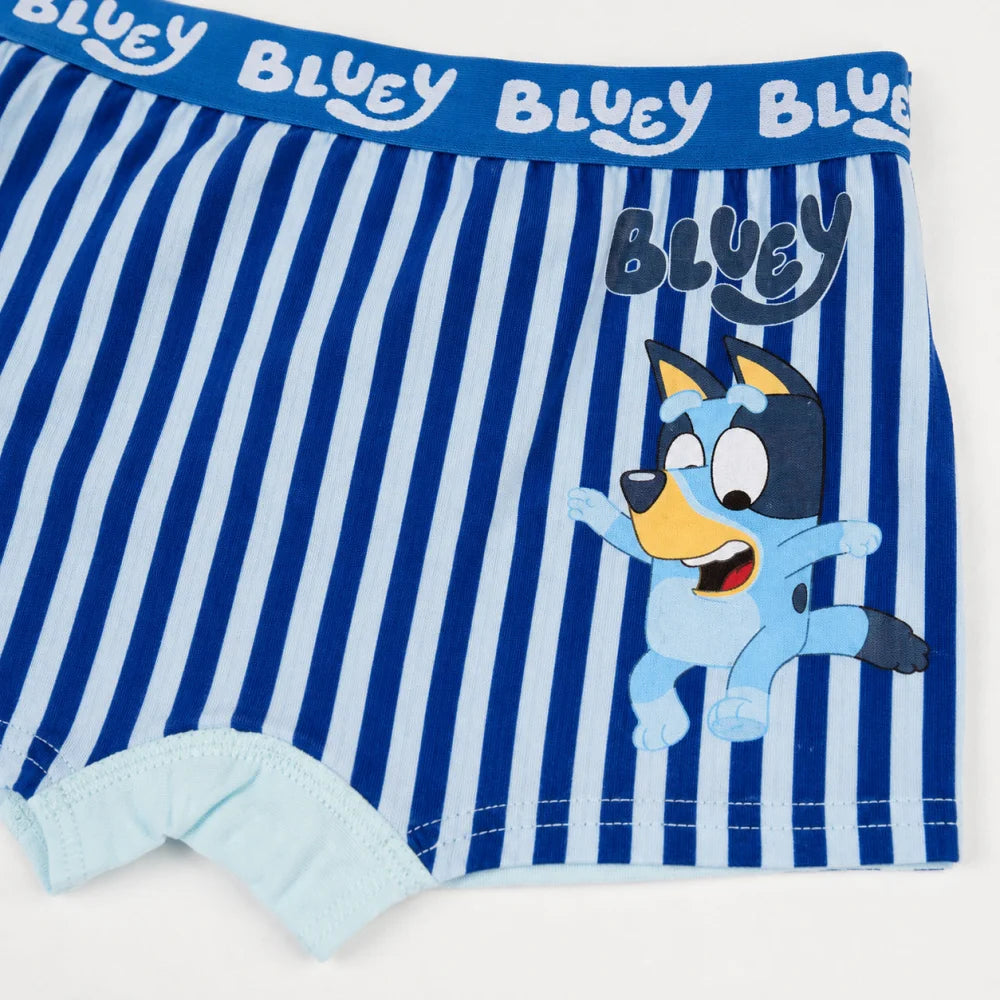 Bluey Jungen Boxershorts Unterhosen 2er-Pack Gr. 104–116 Baumwolle - WS-Trend.de