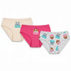 Paw Patrol Skye 3er Pack Slips Kinder Mädchen Unterwäsche Gr. 98-128