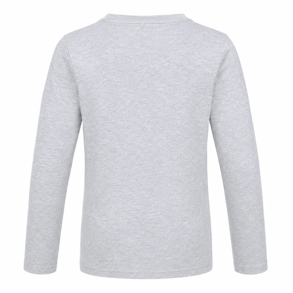 Bing Jungen Langarmshirt Blau oder Grau Größen 92–116 - WS-Trend.de