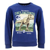 Sweater Jurassic World Jurassic World Kinder Pullover Jungen Dinos Pulli Gr. 104