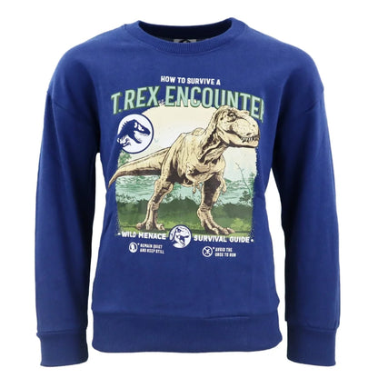 Sweater Jurassic World Kinder Pullover Jungen Dinos Pulli Gr. 104 - WS-Trend.de