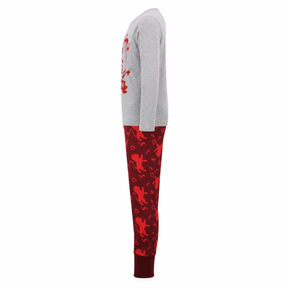 Harry Potter Gryffindor Slytherin Mädchen Pyjama - WS-Trend.de