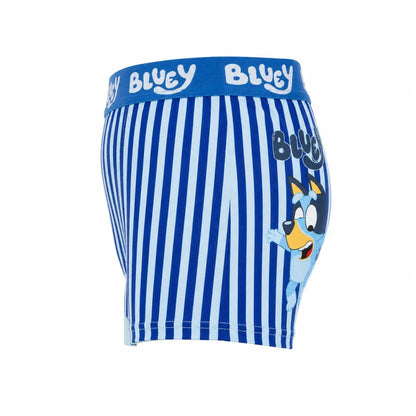 Bluey Jungen Boxershorts Unterhosen 2er-Pack Gr. 104–116 Baumwolle - WS-Trend.de