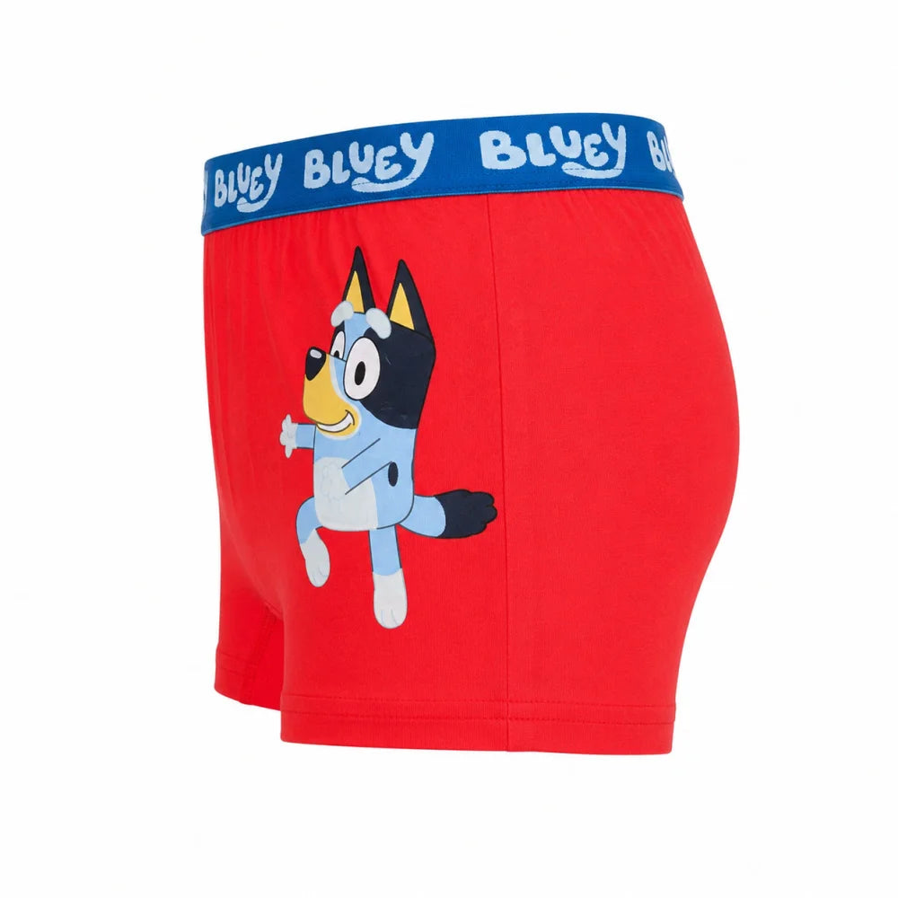 Bluey Jungen Boxershorts Unterhosen 2er-Pack Gr. 104–116 Baumwolle - WS-Trend.de