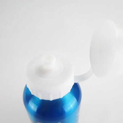 Disney Die Eiskönigin Alu Trinkflasche Flasche 500 ml Anna Elsa - WS-Trend.de Wasserflasche