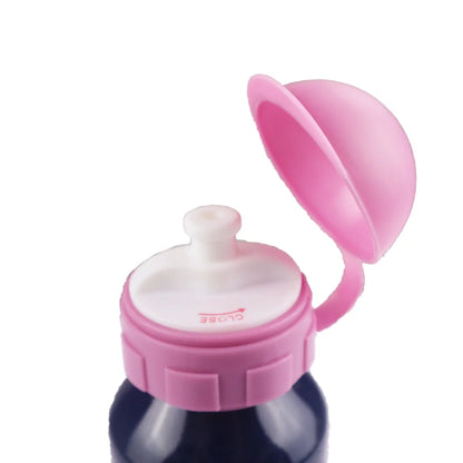 Disney Die Eiskönigin Alu Trinkflasche Flasche 520 ml Anna Elsa - WS-Trend.de Wasserflasche