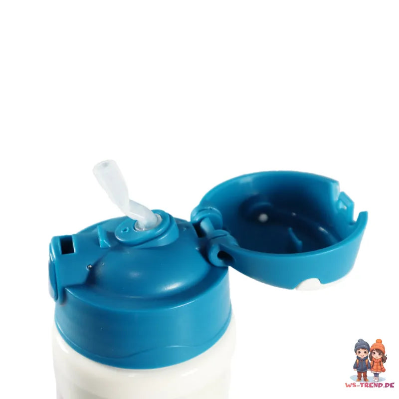 Disney Die Eiskönigin Alu Wasserflasche Trinkflasche Flasche 500 ml - WS-Trend.de