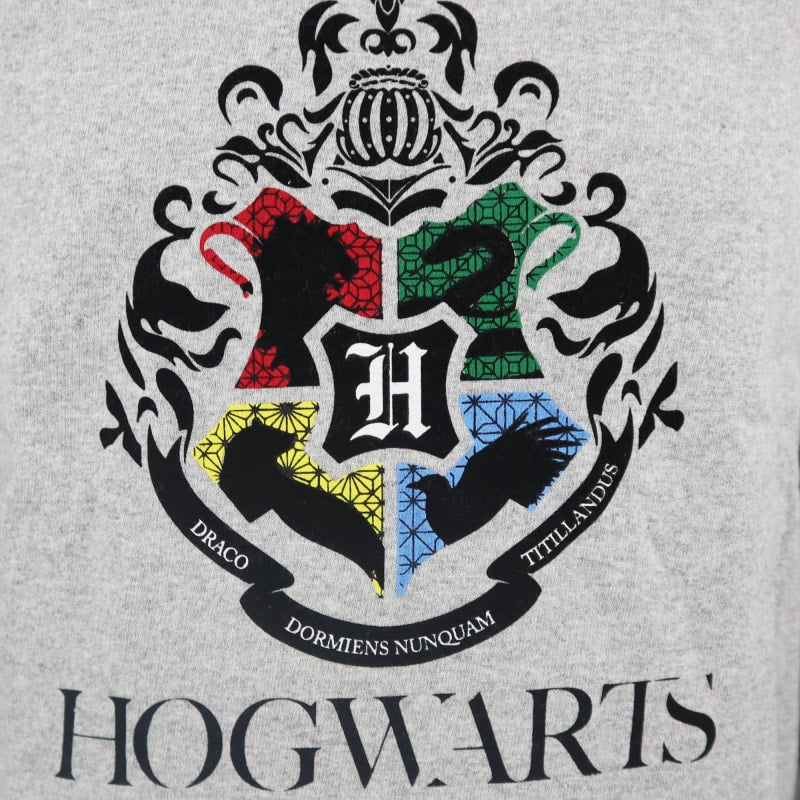 Harry Potter Hogwarts Jungen Kapuzen Hoodie Pulli Pullover - WS-Trend.de 134-164