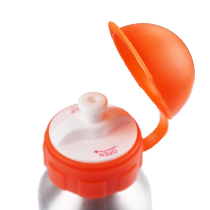 Hot Wheels Alu Wasserflasche Trinkflasche Flasche 500 ml - WS-Trend.de