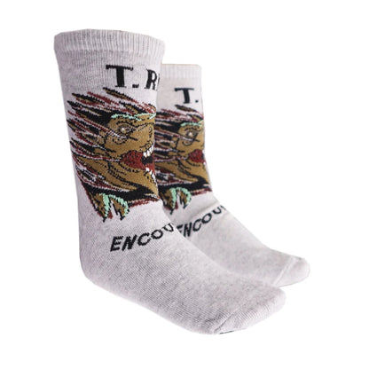 Jurassic World T-Rex lange Kinder Socken 2er Pack - WS-Trend.de Gr. 27 bis 38 für Jungen