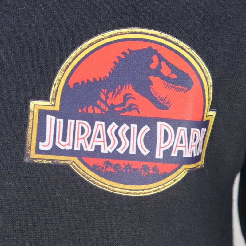 Jurassic Park T-Rex Kinder Jungen Kapuzen Hoodie Pullover Pulli - WS-Trend.de 104 bis 152