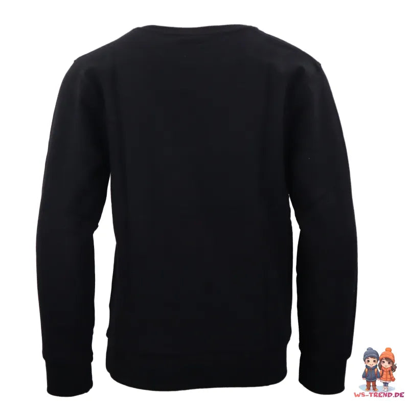 LEGO® Ninjago Kinder Pulli - WS-Trend.de Sweater Pullover Gr. 98-128 Jungen Schwarz Grau