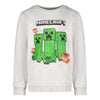 Gamer Minecraft Creeper TNT Kinder Jungen Pulli Pullover