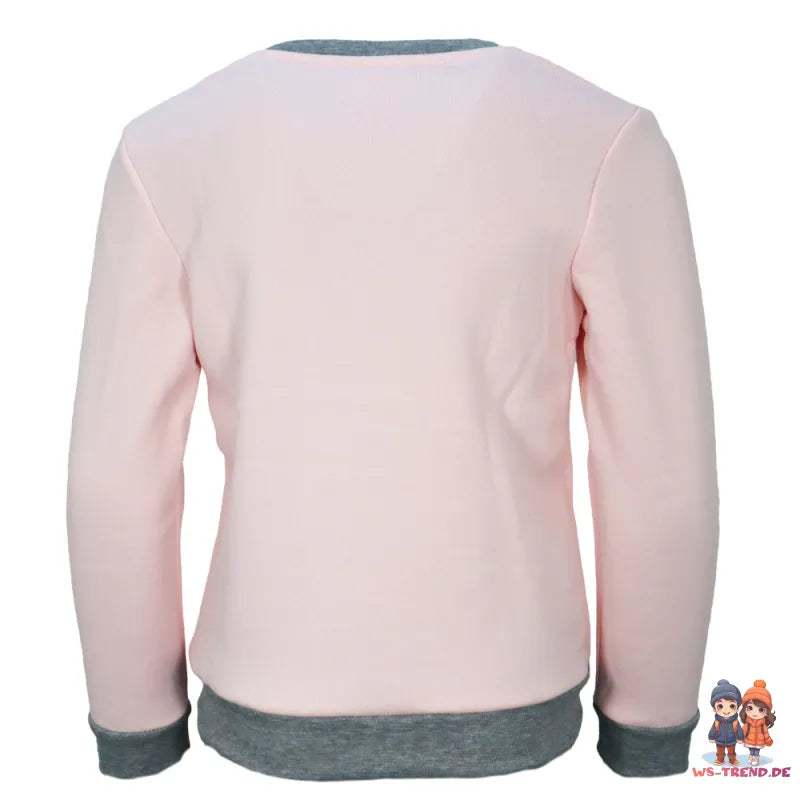 Paw Patrol Skye Kinder Mädchen Sweater Pullover Pulli - WS-Trend.de Gr. 98-128