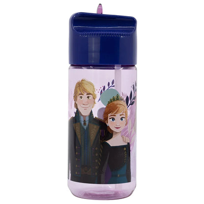 Disney Die Eiskönigin Kinder Wasserflasche Trinkflasche Flasche 430 ml - WS-Trend.de